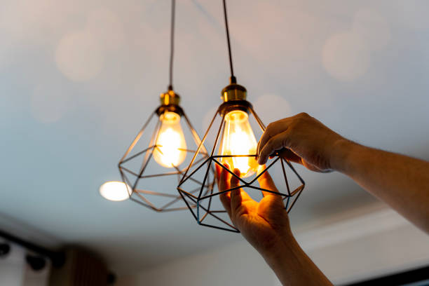 Best Electrician for Home Renovation  in Norridge, IL